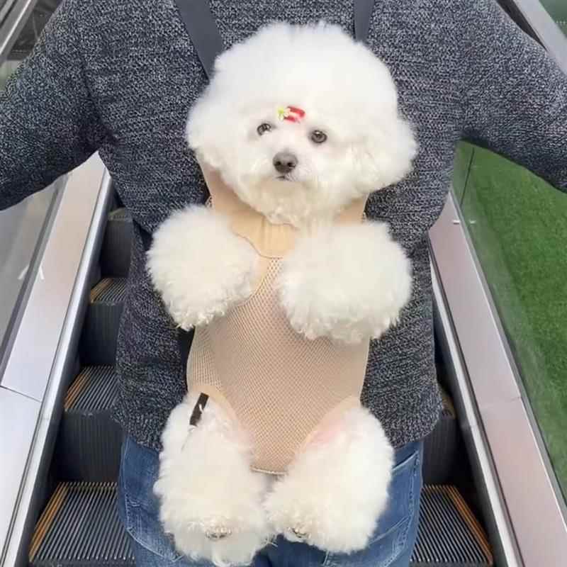 狗狗背带背包外出双肩泰迪比熊小型犬高颜值胸前透气网布夏天狗包图片