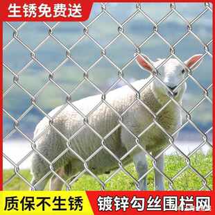 养殖户外养鸡网狗热镀锌铁丝网围栏花勾网网防护网钢丝网牛羊防锈