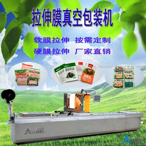 数控智能连续拉伸膜真空包装机 红肠脆脆全自动拉伸膜真空包装机