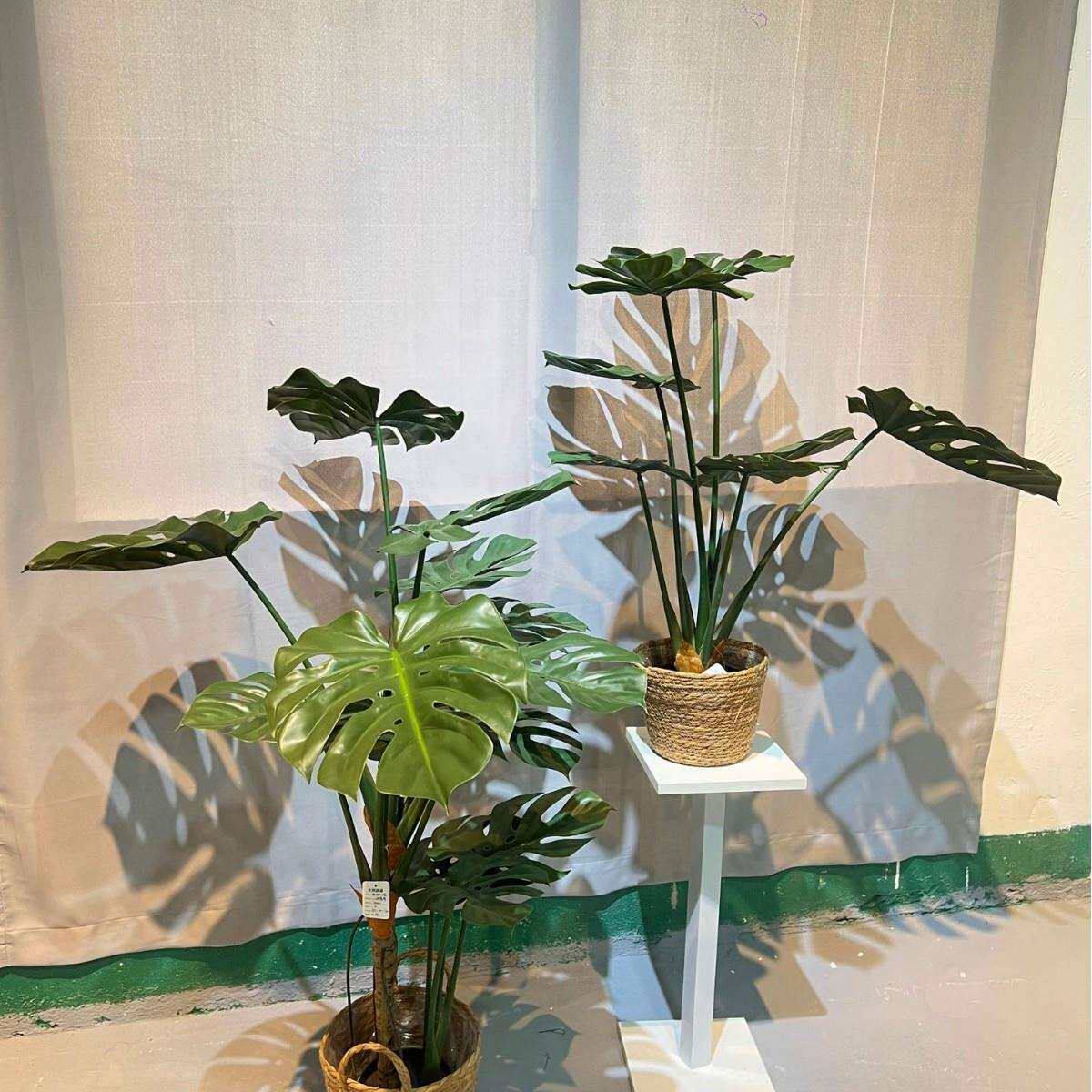 仿真花地绿龟背室家居内装饰GB01盆栽造景植落假树