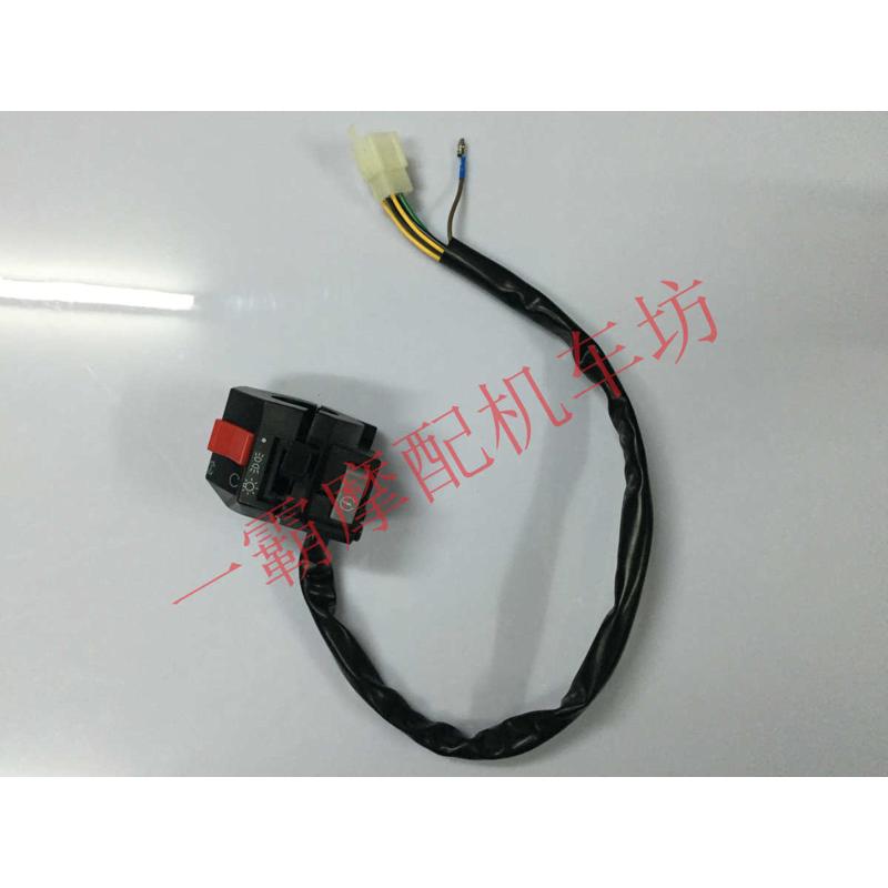 日雅RY150T安东尼斯摩托车开关手把开关150 250 左右组合开关