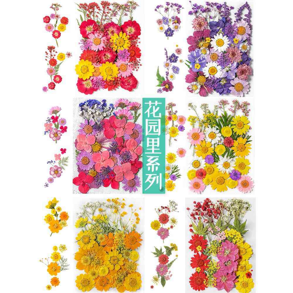 天然干花压花手工diy材料包树叶真花书签植物标本相框贴脸装饰品,家居饰品,干花/花瓣/干花包/干树枝,淘宝优惠券,粉丝福利购,淘宝优惠卷