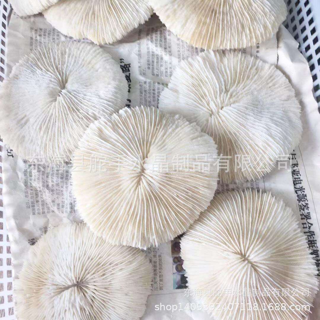 天然珊瑚摆件客厅珊瑚摆件水晶珊瑚摆件工艺品
