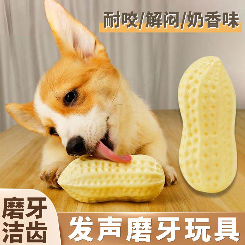 狗狗玩具球耐咬磨牙发声花生大型犬金毛幼犬柯基法斗猫狗解闷