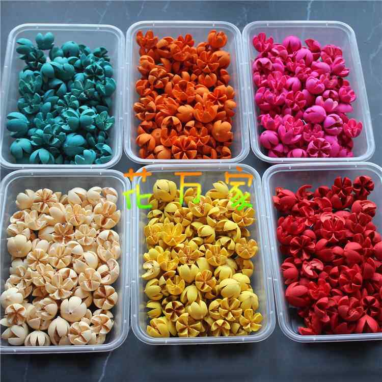 开口笑云南装饰干花开心果DIY材料饰品干花材料十字果压花