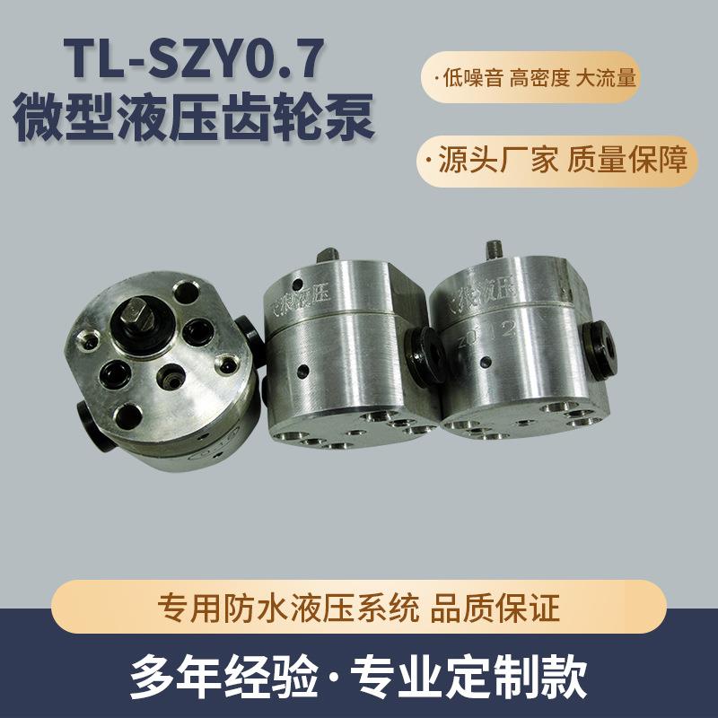 TL-SZY0.7微型液压齿轮泵微型高压齿轮泵微型高压齿轮泵