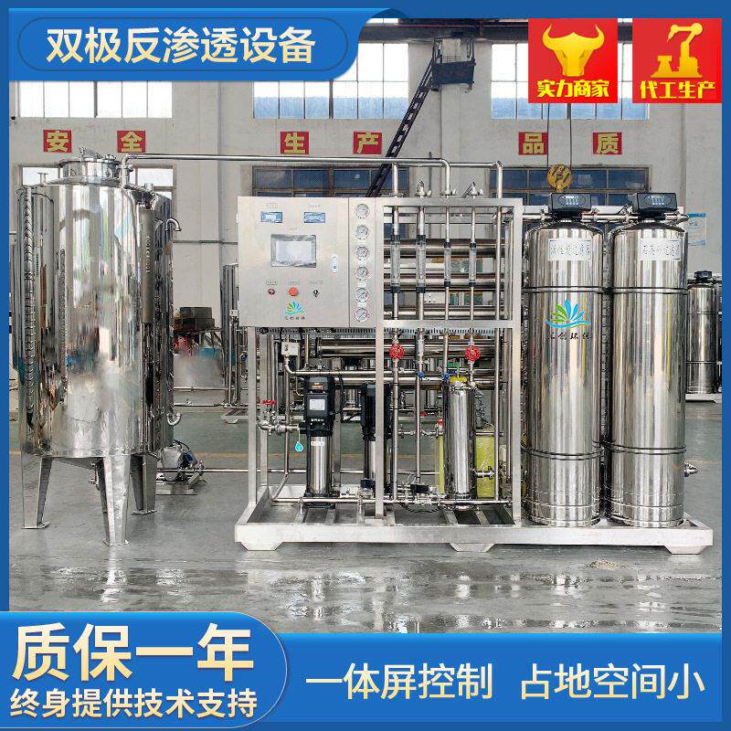工厂定制反渗透超纯水edi设备纯水制取双极反渗透设备来样加工