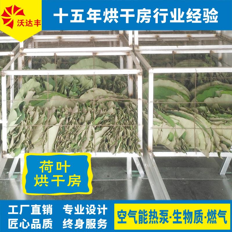 湖南厂家直供荷叶烘干机,莲叶干燥设备,空气能荷叶烘干房