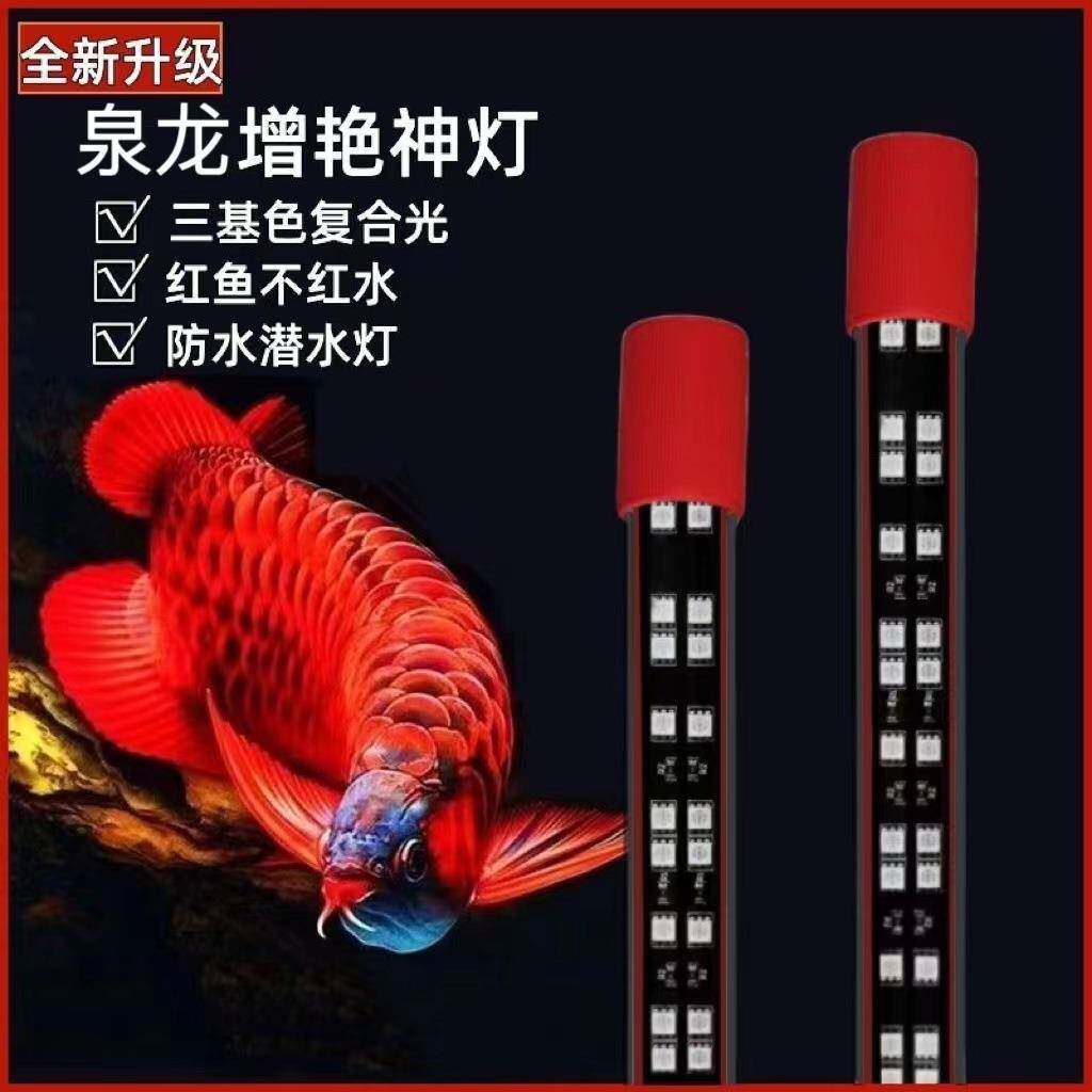 泉龙鱼缸灯照明灯led防水潜水灯龙鱼专用水族led灯T8龙鱼增艳灯