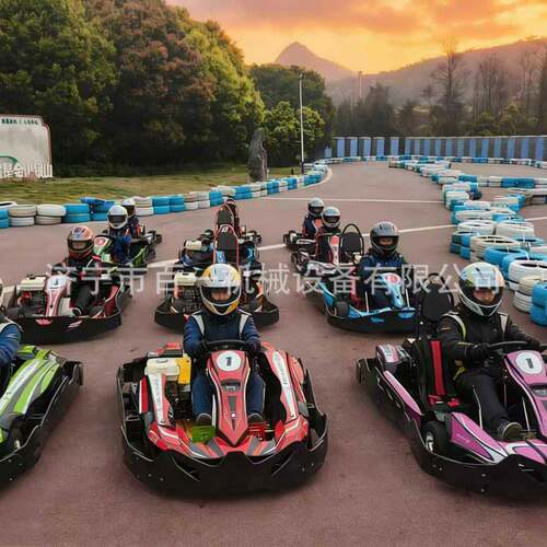 供应赛道卡丁车现货 200cc/270cc游乐卡丁车 汽油双人