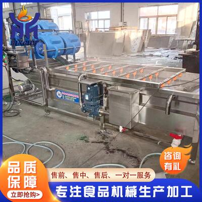 厂钢家应果蔬清洗机 芒果清气泡清洗设HQV备 根供茎类不锈气泡洗