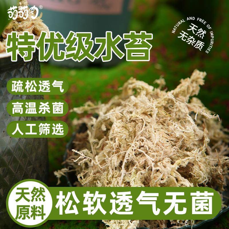特优级水苔蝴蝶兰专用营养土石斛兰花栽培基质造景乌龟蛇爬宠垫材图片