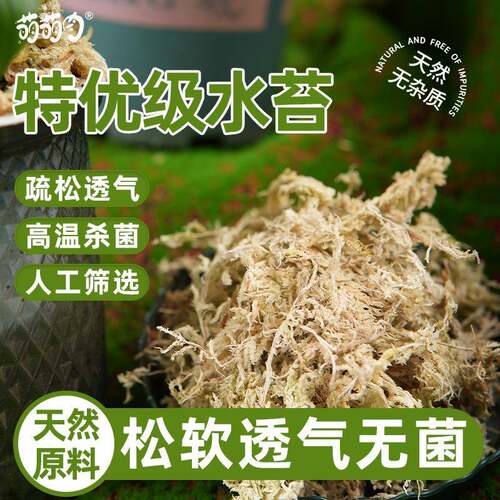 特优级水苔蝴蝶兰专用营养土石斛兰花栽培基质造景乌龟蛇爬宠垫材