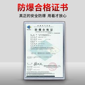 本安型防爆打印天平高精度电子天平