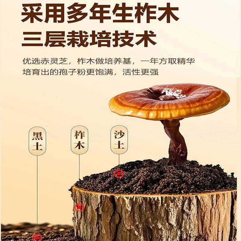 【蓝帽认证】长白山破壁灵芝孢子粉富硒有机正品头道新粉林芝特级