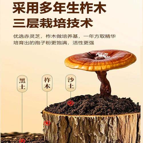 【蓝帽认证】长白山破壁灵芝孢子粉富硒有机正品头道新粉林芝特级