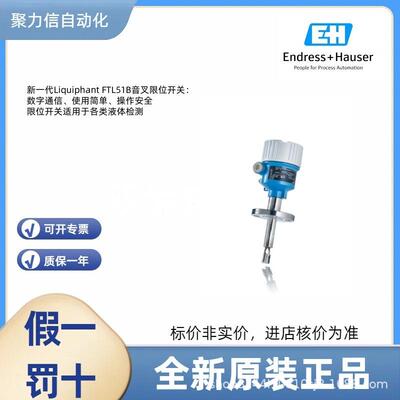 FTL31-AA4M2AAWDJ 恩德斯豪斯E+H 音叉液位开关 压力变送器 电极
