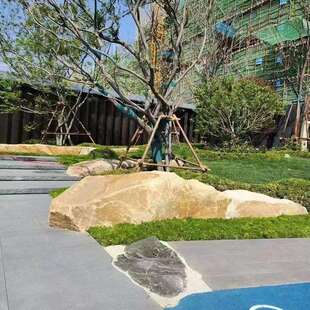 太行金景石柏坡黄景观石日式庭院景观石私家花园装饰