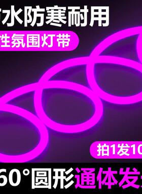 TRIAC氛围紫光灯带led灯条圆形户外防水霓虹灯氛围广告工程亮化线