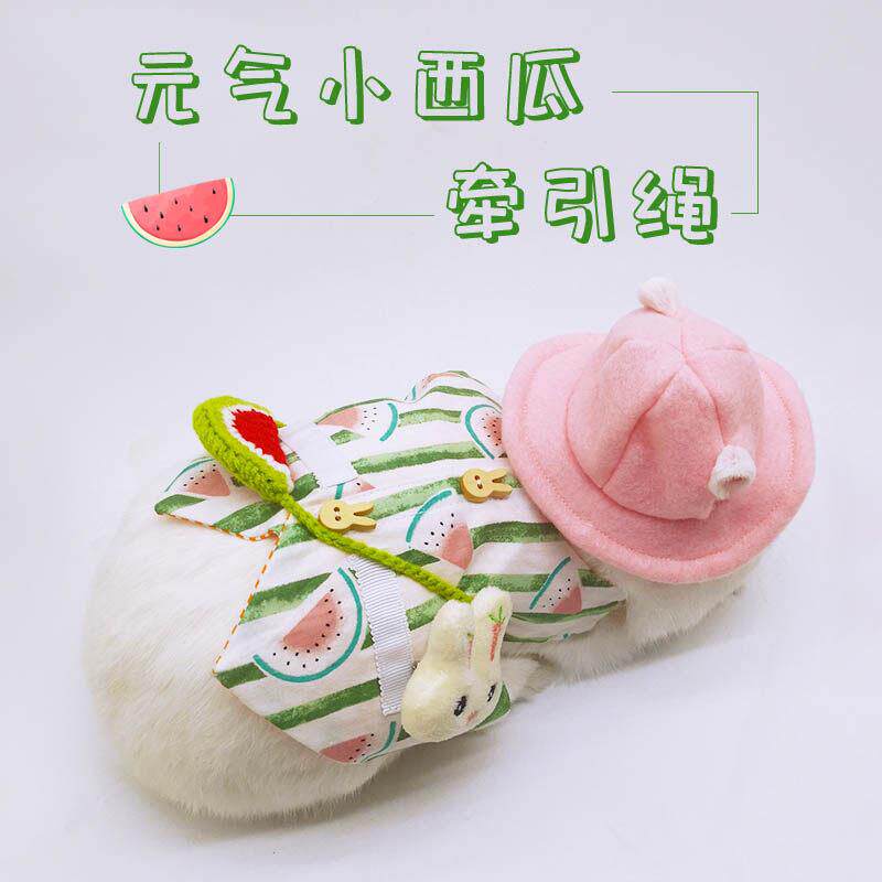 兔子衣服夏季宠物兔小型遛兔子牵引绳防挣脱外出背心式牵引绳服饰