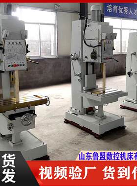 鲁盟供应Z5132立式钻床自动进刀方柱立钻Z5132A深孔加工钻床