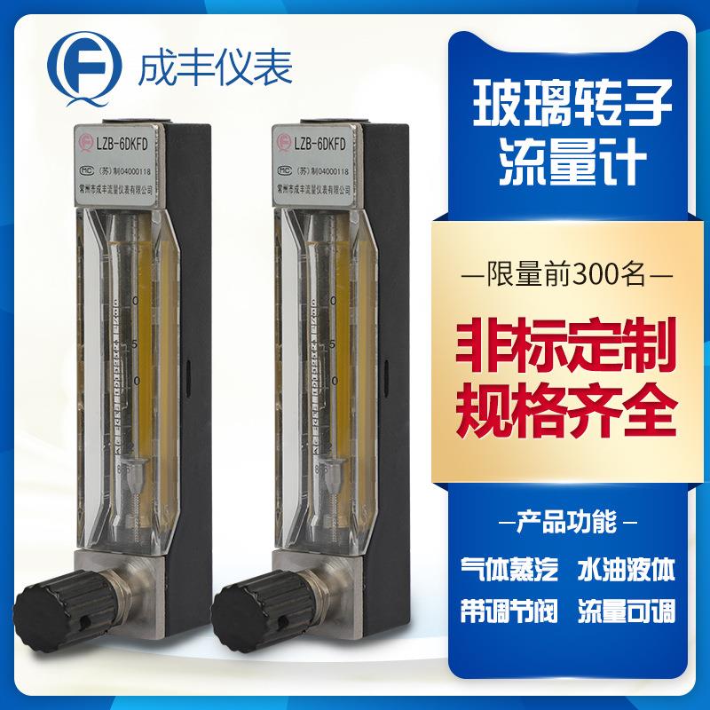 LZB-6DKFD玻璃管转子流量计带开关通断信号面板式安装螺纹接头