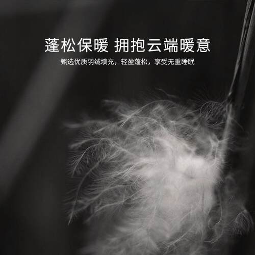 现货90白鸭羽绒高奢纯棉蓬松轻盈蓄热保暖0压感舒睡超柔秋冬厚被