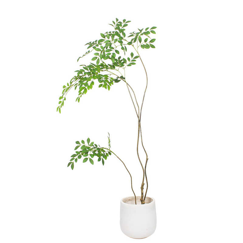 植侘室内绿新款植大型假客厅绿盆栽仿真植风家居装饰假寂绿树榆树