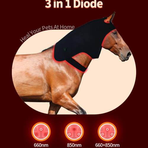 加大款296个LED红光红外线马头马脖子放松恢复理疗HORSE THERAPY