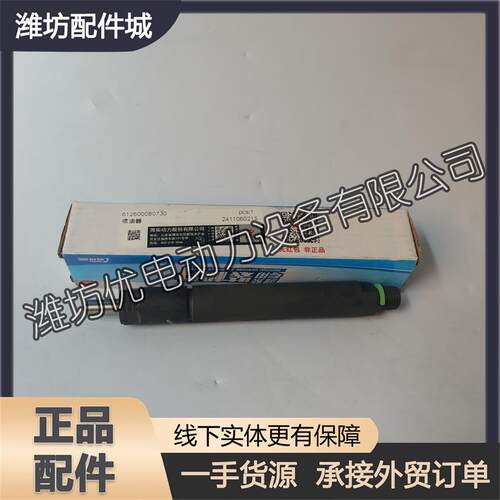 潍柴WP12柴油机WD12发动机WD618喷油嘴总成612600080730喷油器