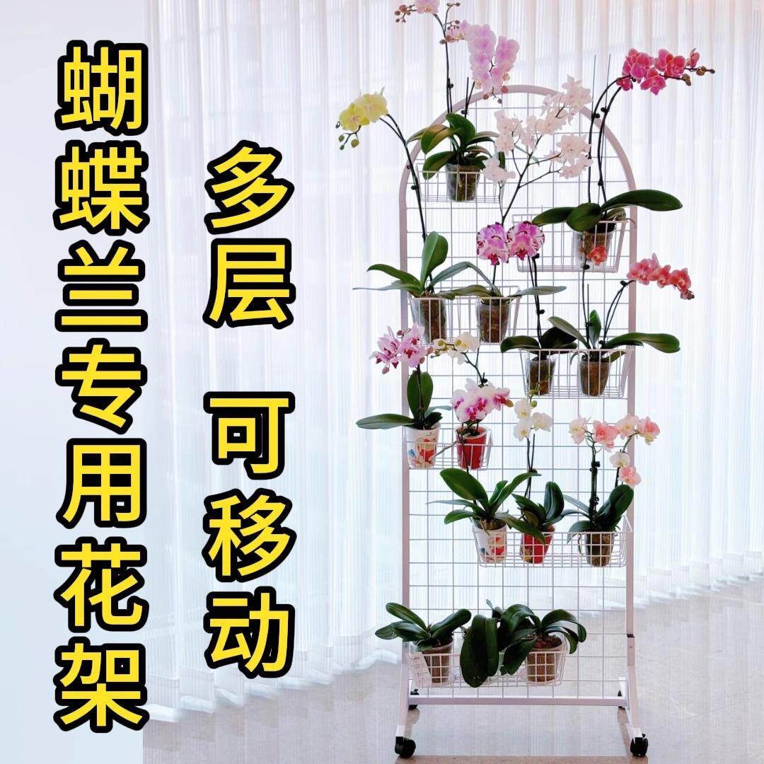 花架阳台2025新款蝴蝶兰花架一体靠墙专用可移动网格落地层展示架