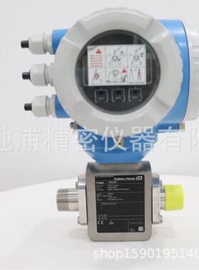 E+HPromag 300卫生型螺纹连接5H3B22-28U0/0电磁流量计4-20mAHART