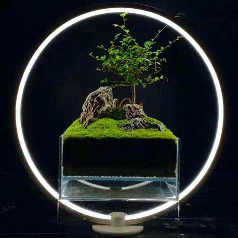 LED鱼缸灯水草景观 彩虹灯 迷你微景观水族植物补光灯水草灯