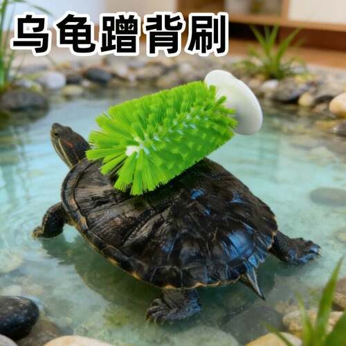 乌龟蹭背刷龟甲水龟清理吸盘式巴西龟甲壳清洁神器宠物磨背小刷子