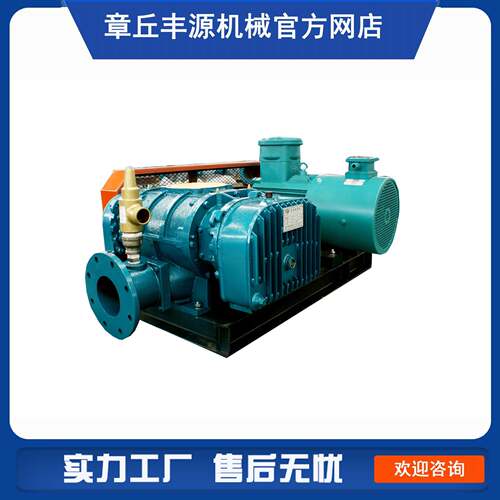 山东风机厂家 FSR125LGKP罗茨鼓风机 污水曝气风机罗茨风机