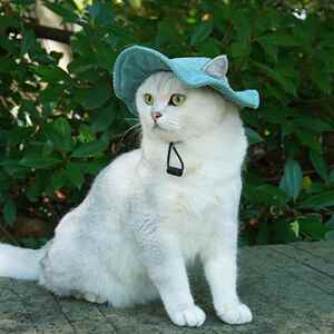 宠它可爱遮阳宠物牛仔帽露耳卖萌猫咪帽子宠物夏季装扮用品