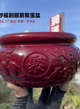 财朱砂特大眼号福10072879家到前双龙聚聚宝盆居