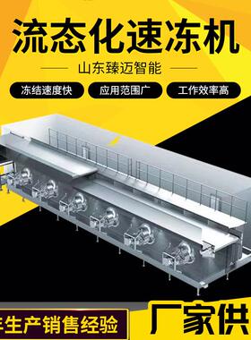 豌豆粒黄桃瓣单冻机-35℃板栗冻梨速冻设备厂家流态化速冻机