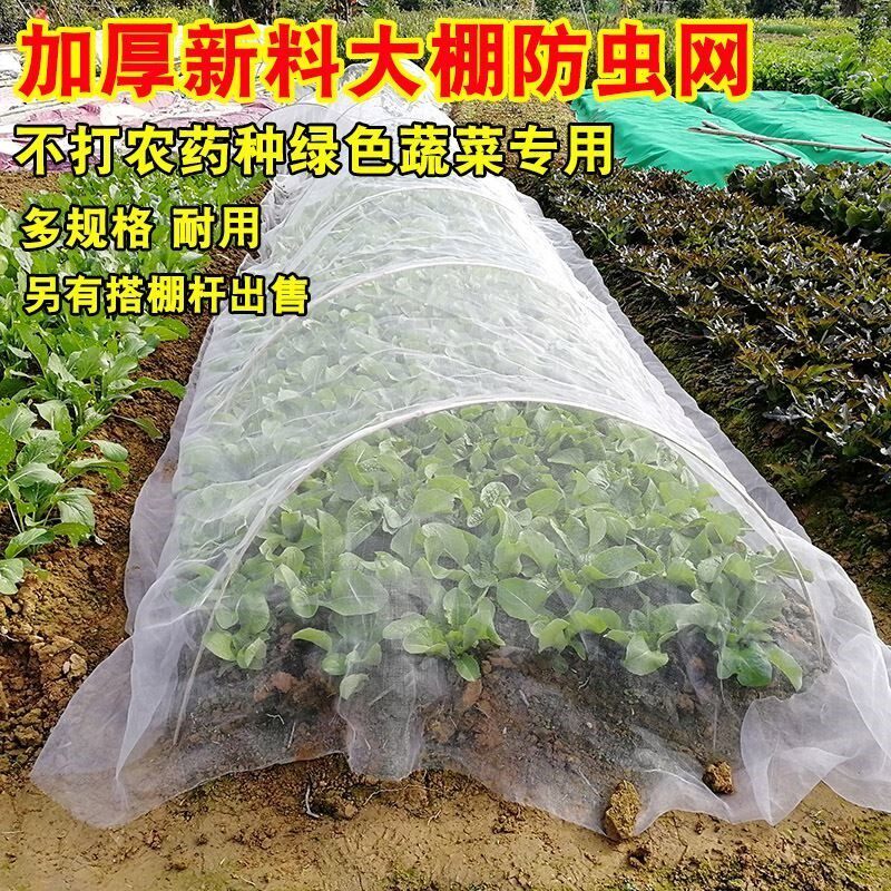 防虫网菜棚大棚种菜果树蔬菜户外菜地家庭种植菜园防鸟用罩网罩