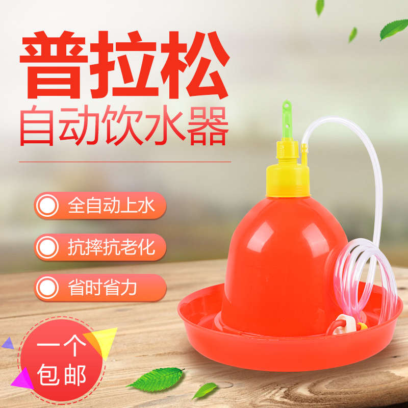 养殖养鸡设备用品普拉松自动饮水器鸡鸭鹅用喂水器鸡场喂鸡饮水壶