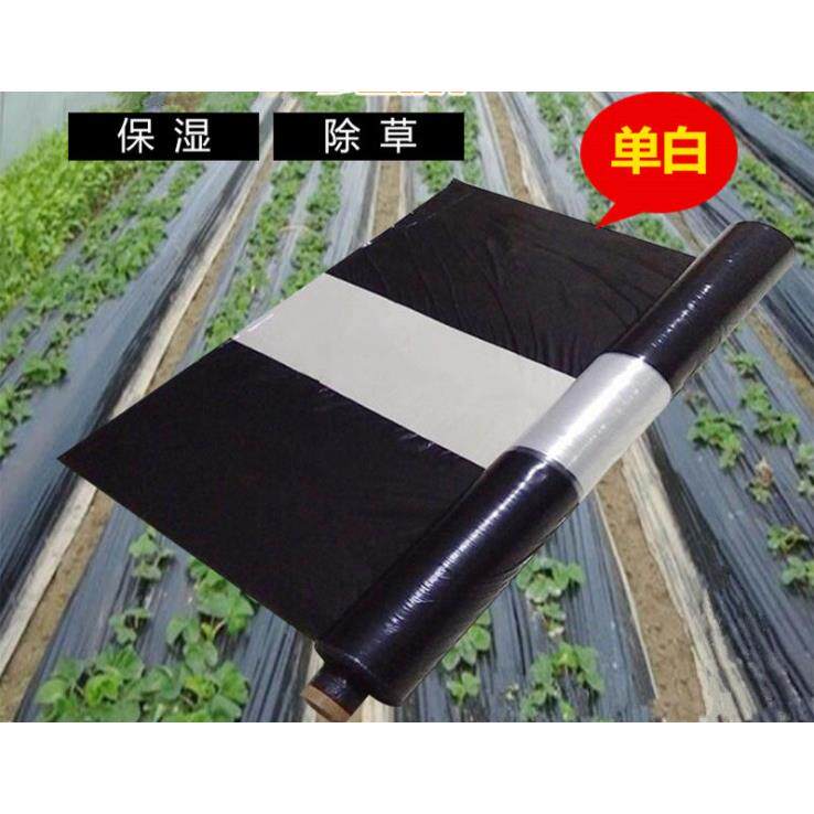 黑白相间地膜农用白黑地膜银黑大棚蔬菜果树地膜双色反光膜草莓膜