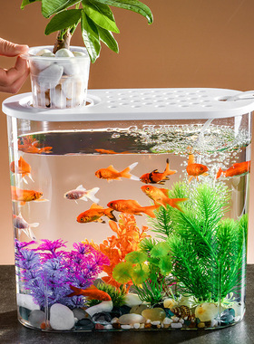 鱼缸客厅家用水族箱塑料透明斗鱼缸微景观生态水族缸桌面造景龟缸