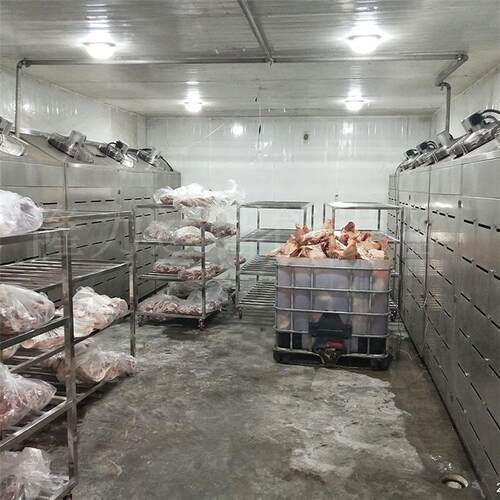 猪肉二分体四分体解冻机猪排骨低温湿解冻库牛肉低温解冻设备