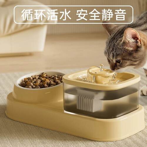 宠物用品电动饮水机猫碗防打翻大容量饮水器猫碗循环水粮一体碗