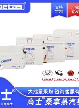 高温桑拿蒸汽机家用桑拿汗蒸机桑拿室蒸汽发生器桑拿熏蒸机跨境