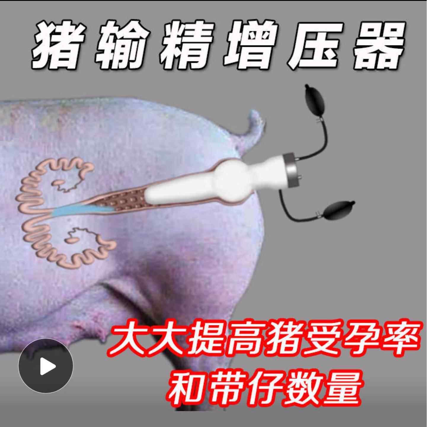 猪用双增压器输精器母猪配种器助产器牛羊马犬用仿真人工授精交配