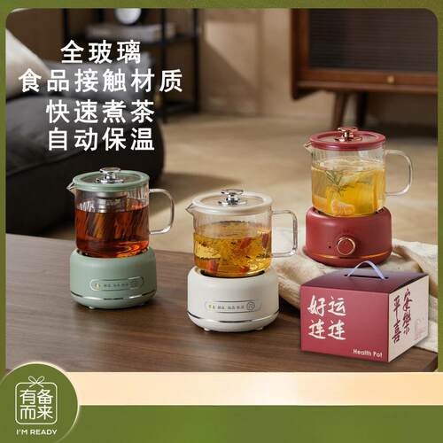 德国养生壶炖煮一体恒温壶小型玻璃办公室烧水多功能全自动煮茶壶