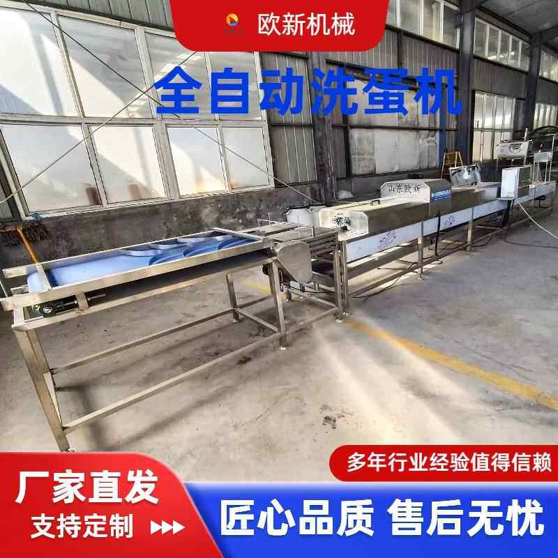 商用毛刷鸡蛋清洗机鸡蛋鸭蛋去污泥大型清洗设备松花蛋去泥洗蛋机