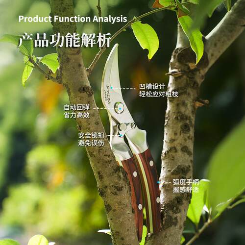 多功能防滑花枝剪不锈钢修枝剪刀多功能家用果枝剪剪枝剪园林工具