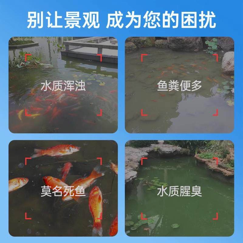 yee硝化细菌鱼缸用净水粉养鱼净化水质稳定分解鱼便消化活菌粉